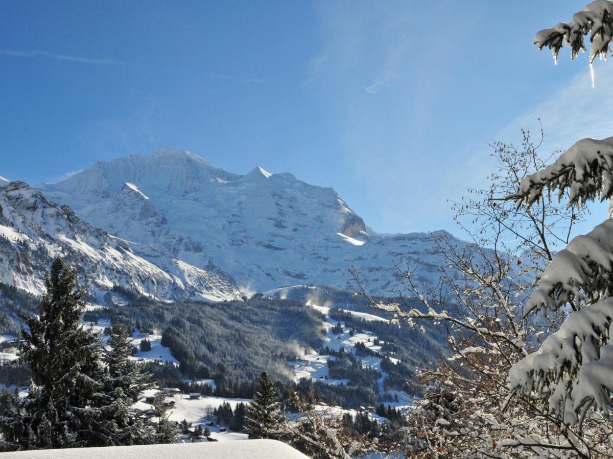 Apartment Rustica By Interhome Wengen Exteriér fotografie